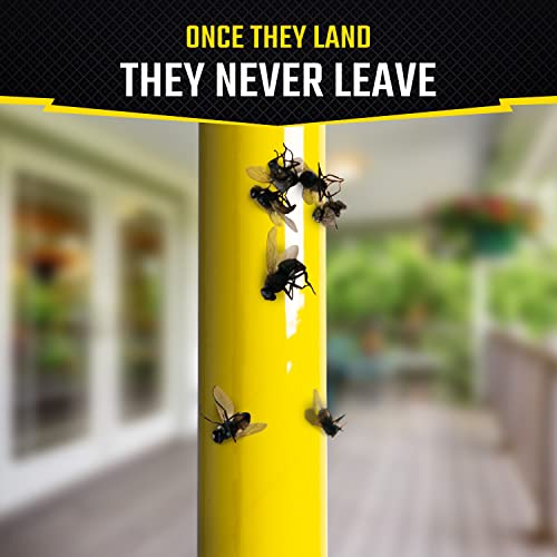 Black Flag Fly Stick, 2 Count - size: 2 Pack