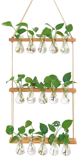 XXXFLOWER Wall Hanging Propagation Station 5 Bulb Vase 3 Tiers - size: Natural-15 Bulb Vase
