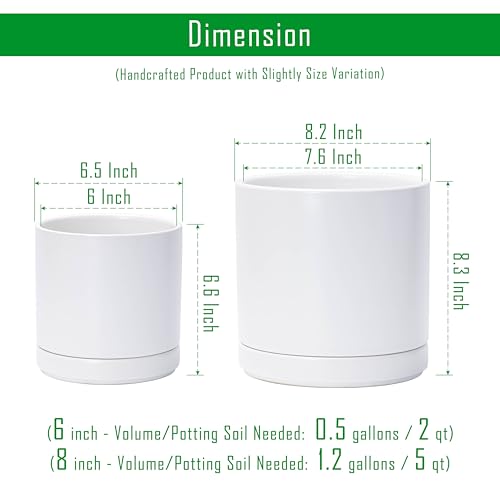 D'vine Dev 2-Pack Ceramic Pots with Saucers, 6/8 in, White, 94-G-M-1 - color: White, size: Medium