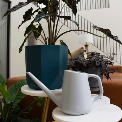 Bloem Fern 50 Oz. Gray Watering Can - 1 Each