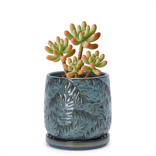 D'vine Dev Embossed Leaves Ceramic Planter, 4 in, Ocean Teal, 27-A-Z-8 - color: Ocean Teal, size: 4 Inch