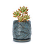D'vine Dev Embossed Leaves Ceramic Planter, 4 in, Ocean Teal, 27-A-Z-8 - color: Ocean Teal, size: 4 Inch