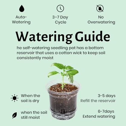 Bluepro Self Watering Pots for Indoor Plants, 6.5 Inch, 12-Pack - size: 6.5 Inch-12Pcs