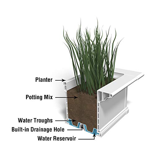 Mayne Yorkshire 60in Self-Watering Rectangular Window Box Planter, White - size: 60in, style: Traditional