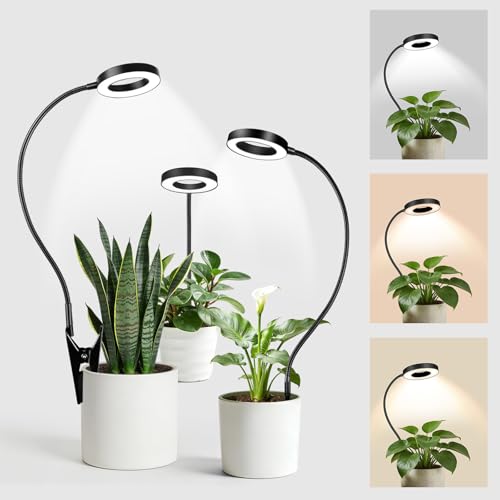 LORDEM Grow Lights for Indoor Plants, 2 in 1 Full Spectrum Plant Light with 360° Gooseneck, 48 LEDs, Auto Timer 6/8/12/16H, 3 Lighting Modes,5 Brightness Levels for Small Plants, 3 Pack Black - color: Black, size: 3 Pack
