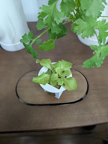 Grow Cubes for Hydroponic System/Compatible with Gardyn (10 Grow Cubes) - style: 10 Grow Cubes