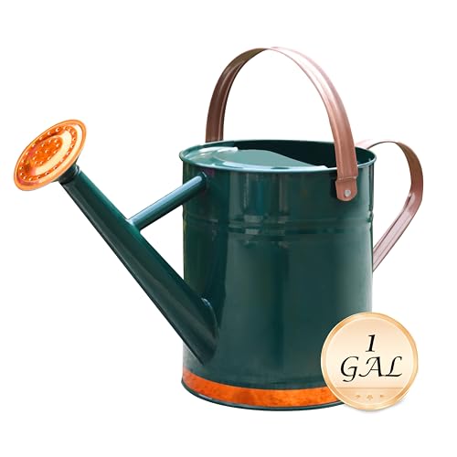 Metal Watering Can for Outdoor Plants, Watering Can Decor 1 Gallon (GB) - color: 002 Green