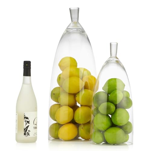 Z Gallerie Jules Cloche Hand-Blown Glass Display Dome, Clear,Small - size: 6.5" DIAMETER 15" TALL