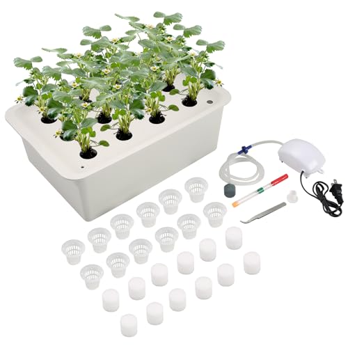 NATGAI Hydroponic System Growing Kit with Air Pump 12 Holes Soilless