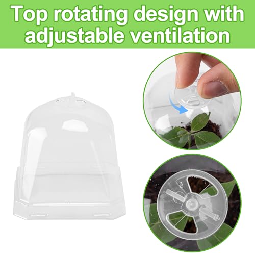 EBaokuup 30PCS Clear Plant Nursery Pots with Humidity Dome - 3" Durable Plastic Gardening Pot, Small Plant Container for Seedlings/Vegetables/Succulents/Cuttings - color: 30pcs-white, size: 3 Inch