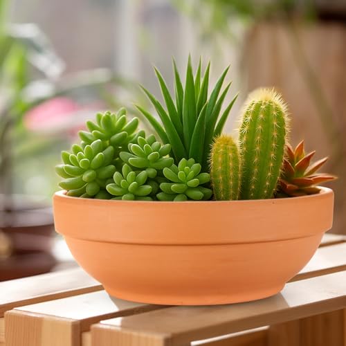 Laerjin Terracotta Pots, 6.43 Inch Shallow Pots with Drainage Hole, 6 Pack - size: 6.43 inch