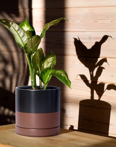 D'vine Dev 2-Pack Ceramic Pots with Saucers, Black/Tan, 6.5 in, 94-V-C-7 - color: Black/Speckled Tan, size: 6 Inch