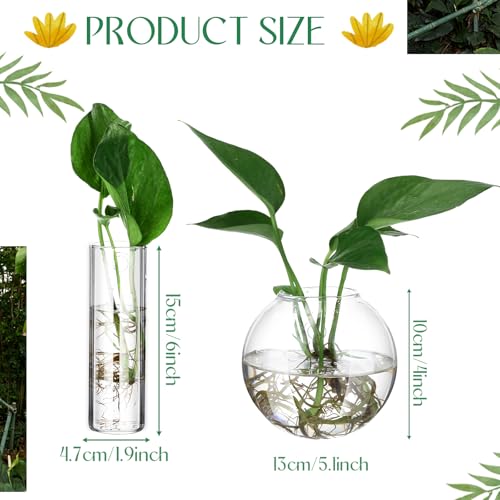Baderke 6 Pcs Glass Wall Hanging Vase with Suction Cup Plastic Invisible