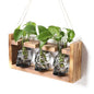 Plant Terrarium Propagation Stations Skull Planter Vase Skulls Decor - color: Grey