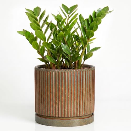 Ceramic Plant Pots, 10 Inch Planter with Tray, Retro Brown - color: Retro Brown, size: 10 Inch