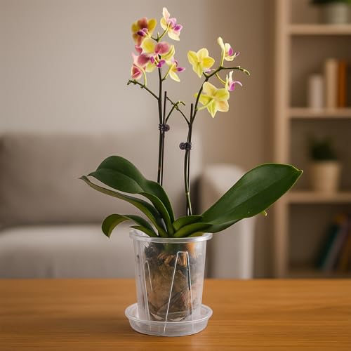 Orchid Pot 6 Pack 4.7 Inch Clear Nursery Pots for Plants with Drainage Hole - size: 4.7 Inch