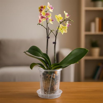 Orchid Pot 6 Pack 4.7 Inch Clear Nursery Pots for Plants with Drainage Hole - size: 4.7 Inch