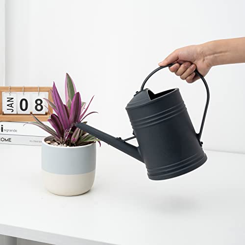 Plastic Indoor Watering Can with Sprinkler Head - 68 oz, 1/2 Gallon - color: Black