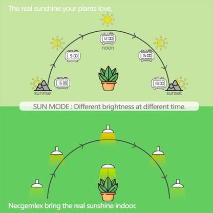 Smart LED PAR38 Grow Light, Dimmable, Sun Mode Dimming - Mimics Real Sunshine, Daily Run Auto Timer, Remote Control - Full Spectrum for Indoor Plant Growth