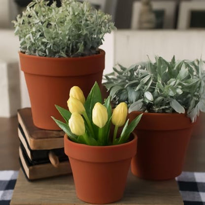 50 Pack 2 Inch Mini Plastic Plant Pots