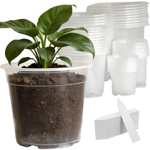 50 Pack 3-7 Inch Clear Nursery Pots with Drainage Plastic Plant Pots for Plants - size: 3/4/5/6/7 Inch