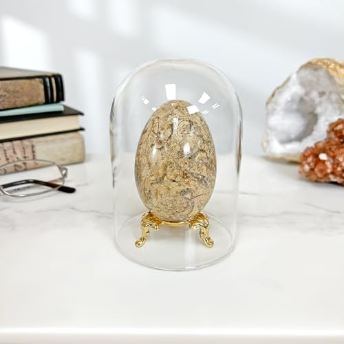 Plymor 3" x 4" Glass Display Dome Cloche (no Base) - color: No Base