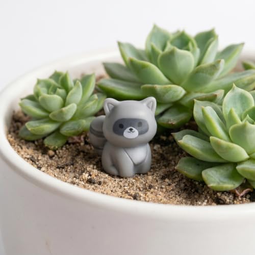 20PCS Tiny Resin Raccoon Figurines for Fairy Garden Terrarium Decor