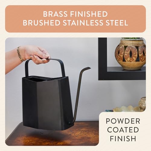 Modern Sprout Brass Watering Can - 3L Stainless Steel - Long Spout (Black)