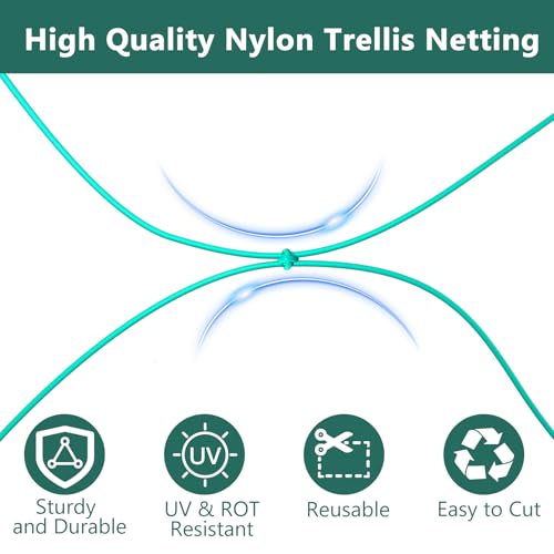 Bird Netting for Chicken Coop, Poultry Netting Over Chicken Run & Chicken Pen, Heavy Duty Nylon Nettings Reusable, UV-Resistant, Garden Netting Aviary Net Fruit Tree Nettings - size: 1.57''-13.12' x 32.81'