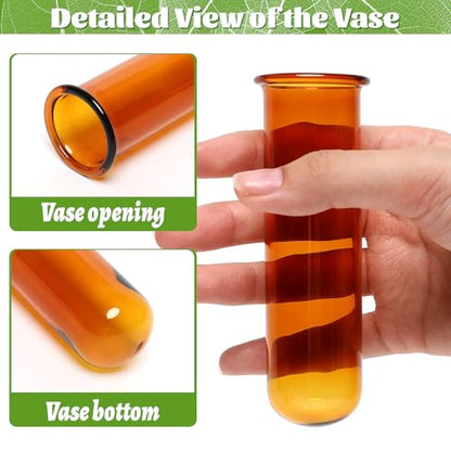 Glass Plant Propagation Station with 5 Test Tubes Colorful Planter Vase - color: Amber