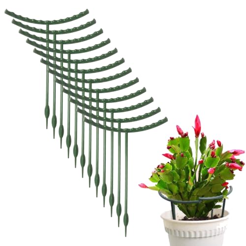 Mwellewm Plant Stakes Small Plant Supports for Indoor Plants Holder Sticks - size: 5.7 x 9.8inch 20Pcs