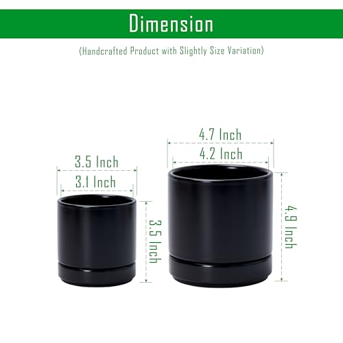 D'vine Dev 2-Pack Ceramic Pots & Saucers, Black, 3.5/4.7 in, 94-G-XS-2 - color: Black, size: X-Small