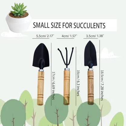 3Pcs Gardening Tools, Mini Tool Set Indoor Garden Kit Miniature Gardening Rake|Trowel |Shovel for Gardening Supplies (Thick Handle) - style: Thick handle