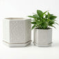 Ceramic Pots for Plants Set of 2, 6-Inch & 4-Inch Wide w/ Drainage & Saucer