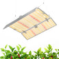 Barrina 4x4 Grow Light Panel, Full Spectrum, Dimmable, 200W, 1 Pack