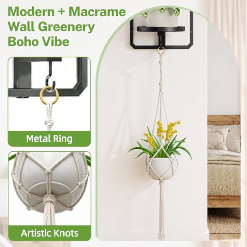 iDavosic.ly Wall Plant Picture Frame Holder with Macrame Hange, Black - color: Black with 1 Hanger, size: Rectangular