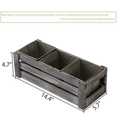SOFE Rustic Galvanized Planer Box, Indoor Windowsill Herb Garden Organizer