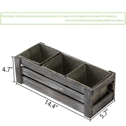 SOFE Rustic Galvanized Planer Box, Indoor Windowsill Herb Garden Organizer