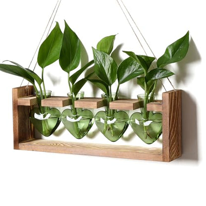 Plant Propagation Stations Heart Plant Terrarium Kit - color: Green
