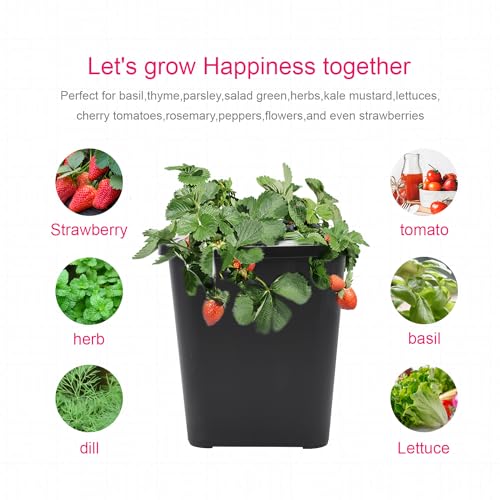 4 Hydroponic Buckets Kit for Plants, Hydroponics Growing System for Herbs/Tomato/Vegetables, DWC System with Air Pump & Germination Tray Black (Complete Indoor Hydroponic Gardening Supplies) - size: 4 Buckets Kit (Black)
