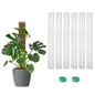 EOX Plastic Moss Pole for Monstera and Climbing Plants, 24-Inch, 6-Pack