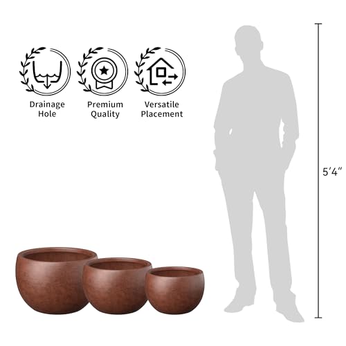 Kante Accent Round Bowl Rusty Concrete Planter 15.7" Dia, Outdoor - color: Rusty, size: 15.7" d