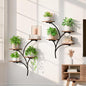 2 Pack Wall Mounted Plant Holder, 8-Tier Wall Planters for Indoor Plants