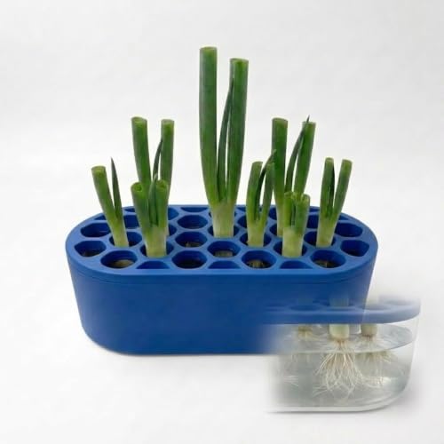 Mini Green Onion Regrower Kit, Hydroponic Scallion Planter Box with Hexagonal Honeycomb Lid, Soil-Free Indoor Herb Water Propagation Tub for Kitchen Countertop，Blue - color: Blue