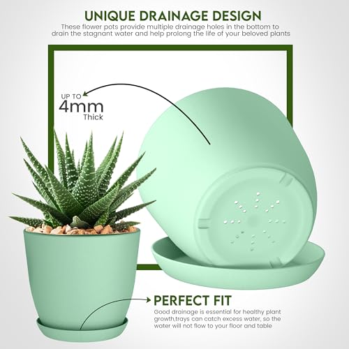 Plant Pots Indoor with Drainage, 10 Pack Multi-Size Planters Set, Mint - color: Mint, size: Pack of 10