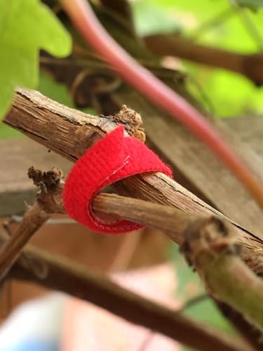 3Roll 200cm Nylon Plant Ties Self Adhesive Cable Twine Fastener Tape (Red) - color: Red