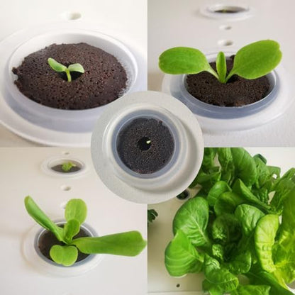Hydroponic Grow Sponges | 20 Pieces Growing Replacement Blocks | Hydroponic Sponges Replacement | for Lettuce Vegetables Flowers Soil Systems Yard Farm Porches Courtyards Balconies Terraces