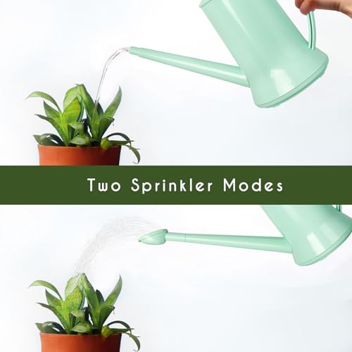 XXXFLOWER Small Watering Can, 67oz (1/2 Gallon) Indoor Houseplants Green - size: Green-2L