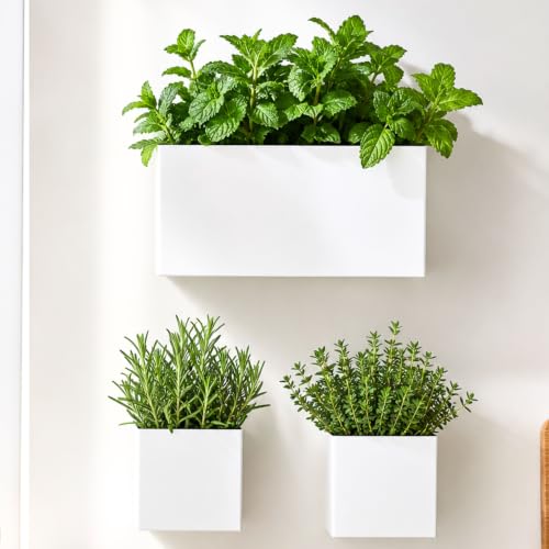 LaLaGreen Wall Planter (3-Pack Set) Rectangular Indoor Hanging Flower Boxes - size: 3-Pack Set
