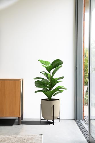 Veradek Mason Series Raised Lima Planter - Round Planter with Stand - color: Sand, size: 15 inch